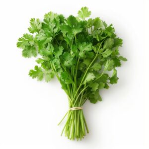 Coriander Leaves 1 bunch