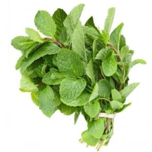 Mint Leaves 1 bunch