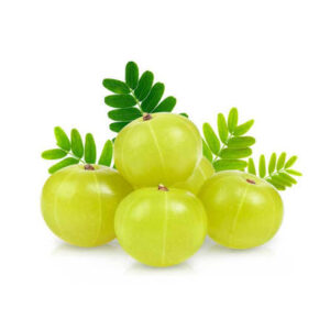 Amla 500 gm